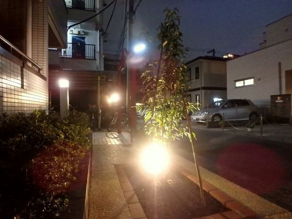 夜間は植栽がライトアップされ、足元明るい外観です！
