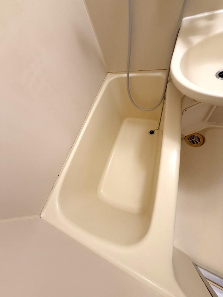 �y�o�X�z�@