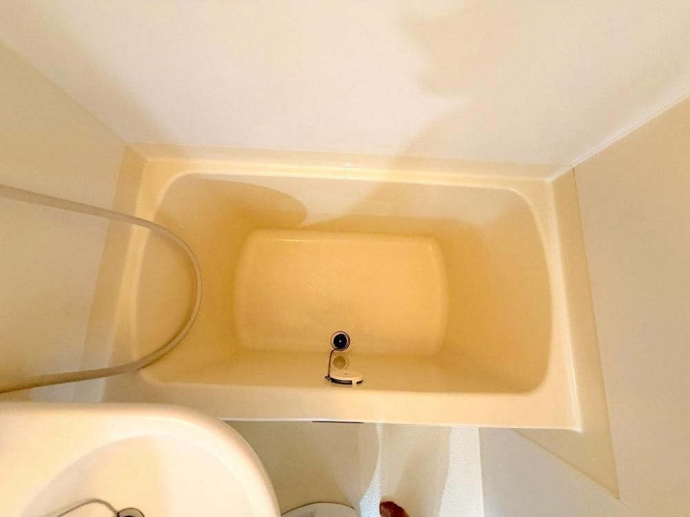 �y�o�X�z�@