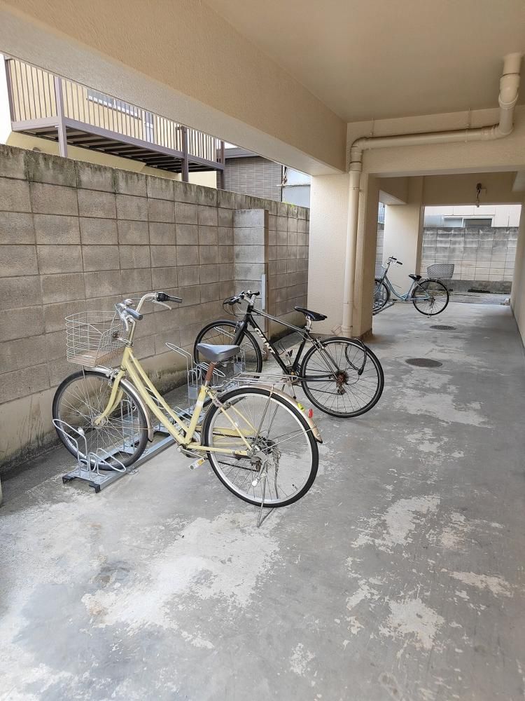 �y���̑����L�����z�@