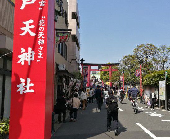 亀戸天神社 藤まつり19 19 04 土 更新 亀戸天神社 藤まつり19 西大島 江東区エリアの賃貸のことなら大雄開発株式会社